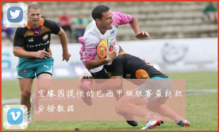 雪缘园提供的巴西甲级联赛最新积分榜数据